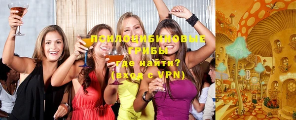 гидра Каменск-Шахтинский