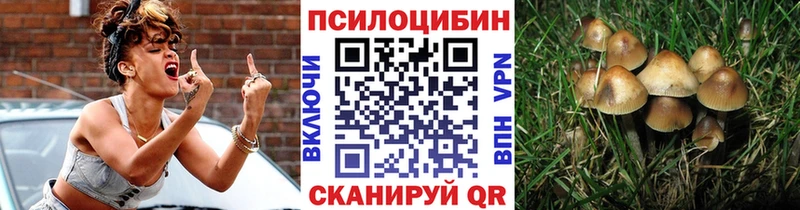 Псилоцибиновые грибы мицелий  это клад  МЕГА зеркало  Калуга  цена наркотик 